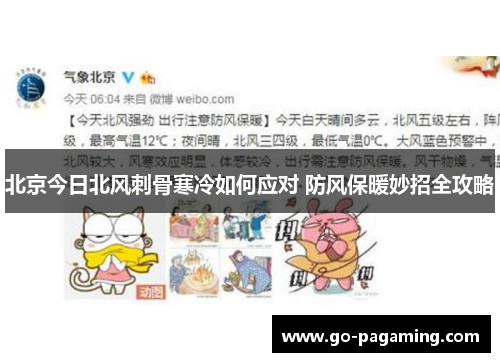 北京今日北风刺骨寒冷如何应对 防风保暖妙招全攻略 北京今日北风刺骨寒冷如何应对 防风保暖妙招全攻略