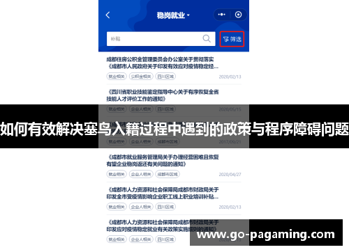 如何有效解决塞鸟入籍过程中遇到的政策与程序障碍问题