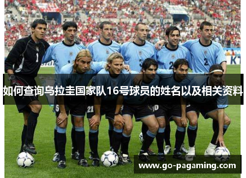 如何查询乌拉圭国家队16号球员的姓名以及相关资料