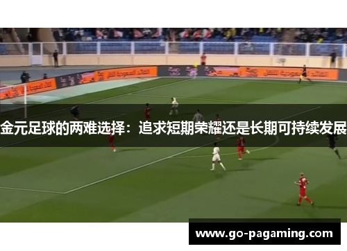 金元足球的两难选择：追求短期荣耀还是长期可持续发展