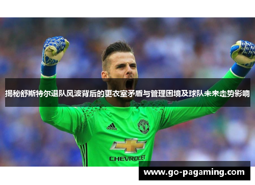 揭秘舒斯特尔退队风波背后的更衣室矛盾与管理困境及球队未来走势影响