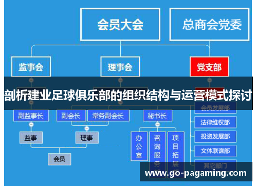 剖析建业足球俱乐部的组织结构与运营模式探讨