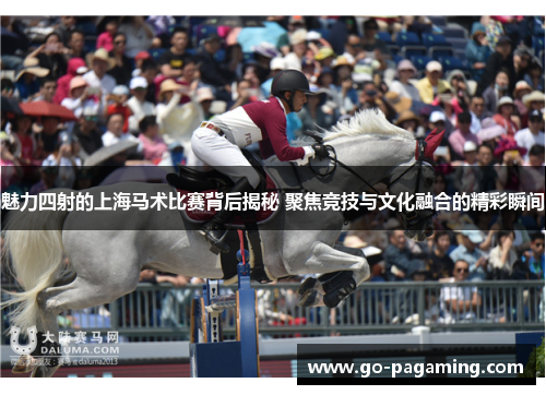魅力四射的上海马术比赛背后揭秘 聚焦竞技与文化融合的精彩瞬间 魅力四射的上海马术比赛背后揭秘 聚焦竞技与文化融合的精彩瞬间