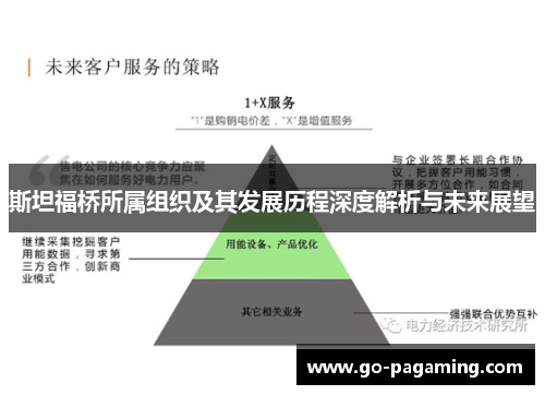 斯坦福桥所属组织及其发展历程深度解析与未来展望